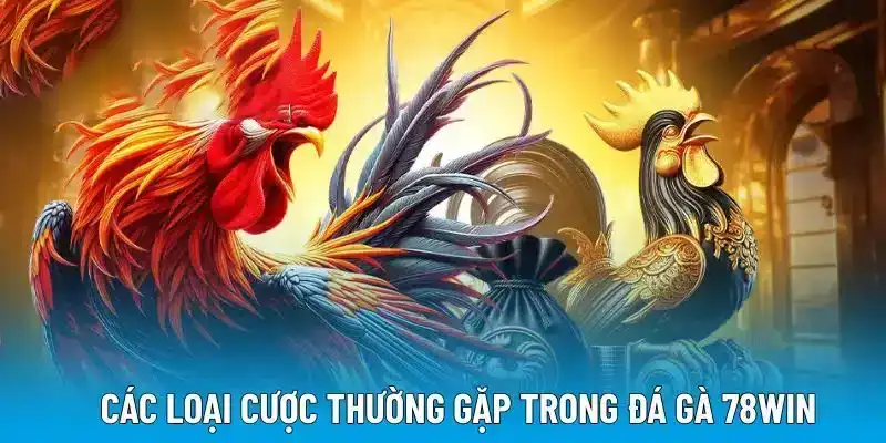 Các loại cược thường gặp trong đá gà 78WIN