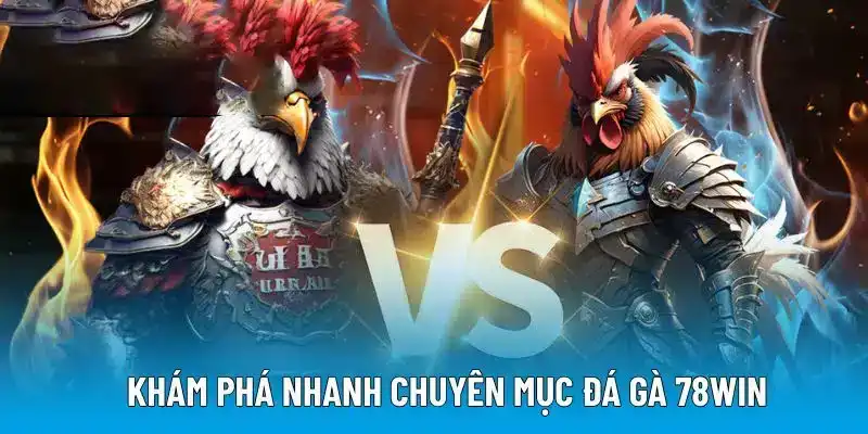 Khám phá nhanh chuyên mục đá gà 78WIN