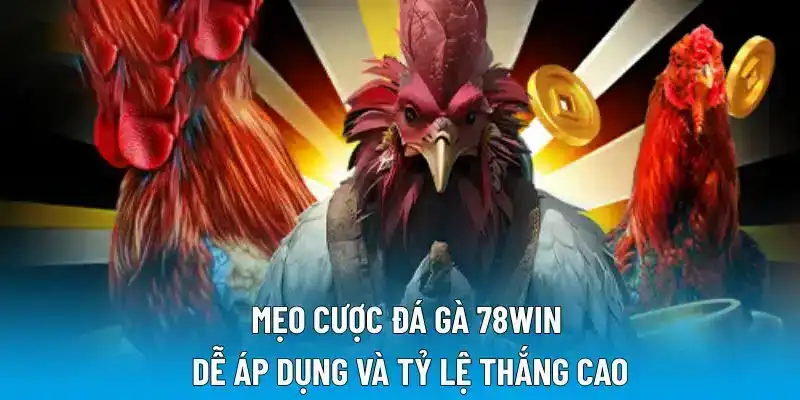 Mẹo cược đá gà 78WIN dễ áp dụng và tỷ lệ thắng cao
