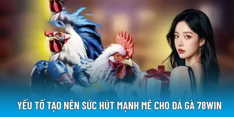 Yếu tố tạo nên sức hút mạnh mẽ cho đá gà 78WIN